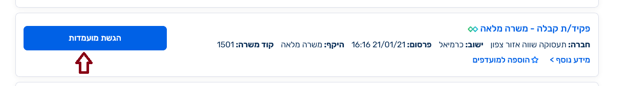צילום מסך: משרה לדוגמה